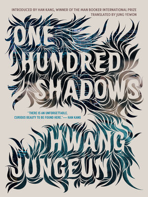 cover image of One Hundred Shadows